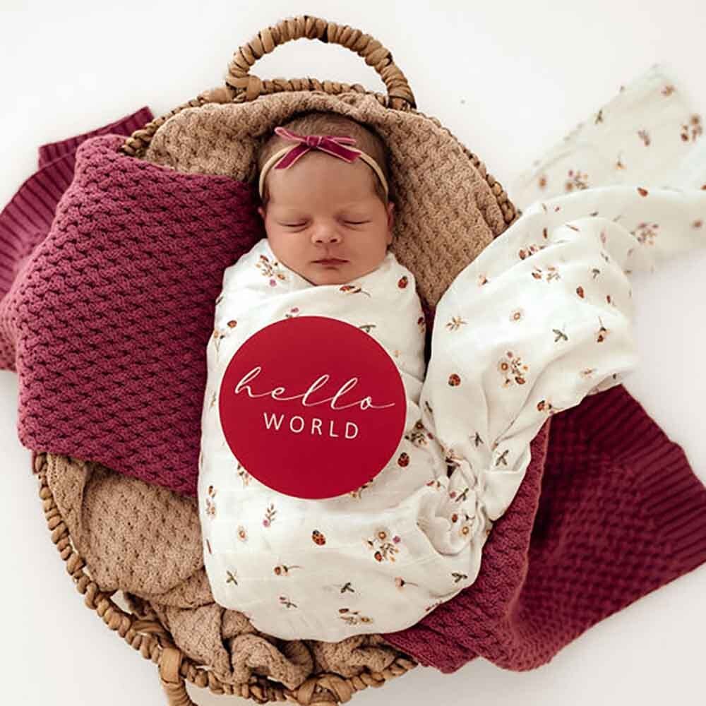 Ladybug Organic Muslin Wrap - Image 4